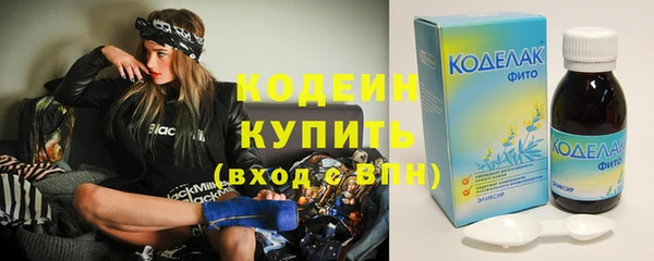 дмт Ельня