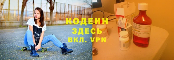 дмт Ельня