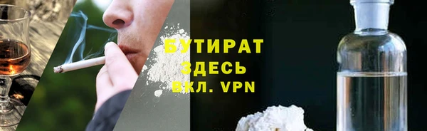 дмт Ельня