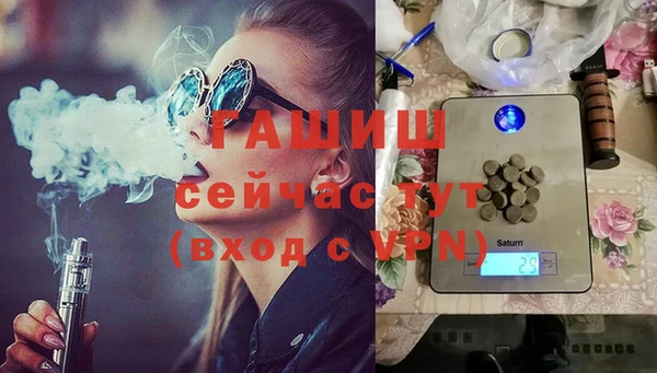 дмт Ельня