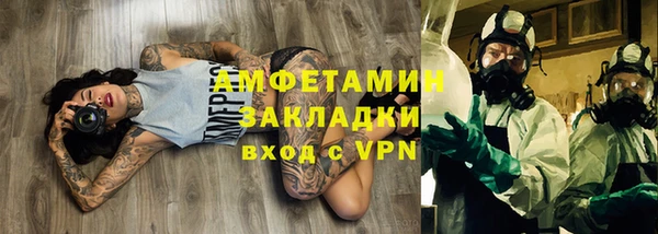 дмт Ельня
