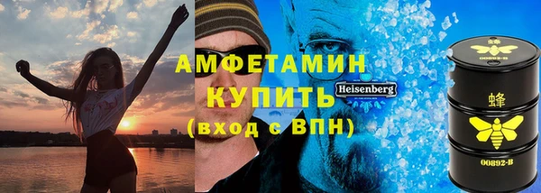 дмт Ельня
