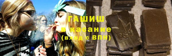 дмт Ельня
