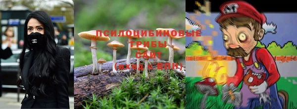 дмт Ельня
