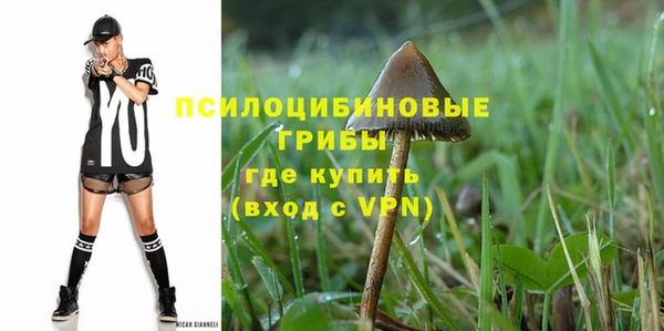 дмт Ельня