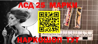 прущие крисы Кингисепп
