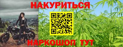 прущие крисы Кингисепп
