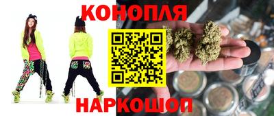прущие крисы Кингисепп