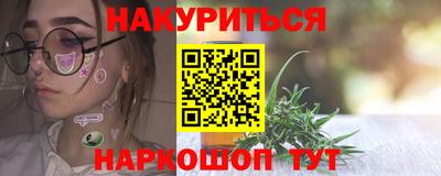 прущие крисы Кингисепп