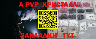 прущие крисы Кингисепп