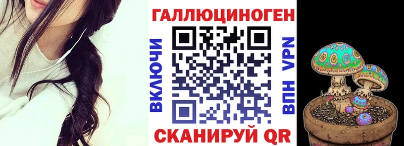 магазин продажи   Хабаровск  Псилоцибиновые грибы Cubensis 