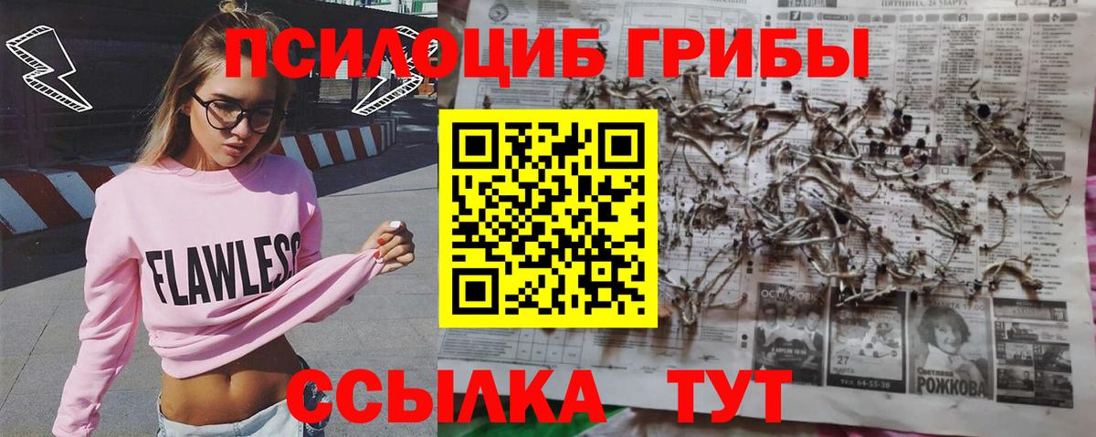 Хабаровск  Псилоцибиновые грибы Psilocybine cubensis  Вход с VPN 