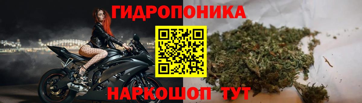 Бошки Шишки ГИДРОПОН Хабаровск